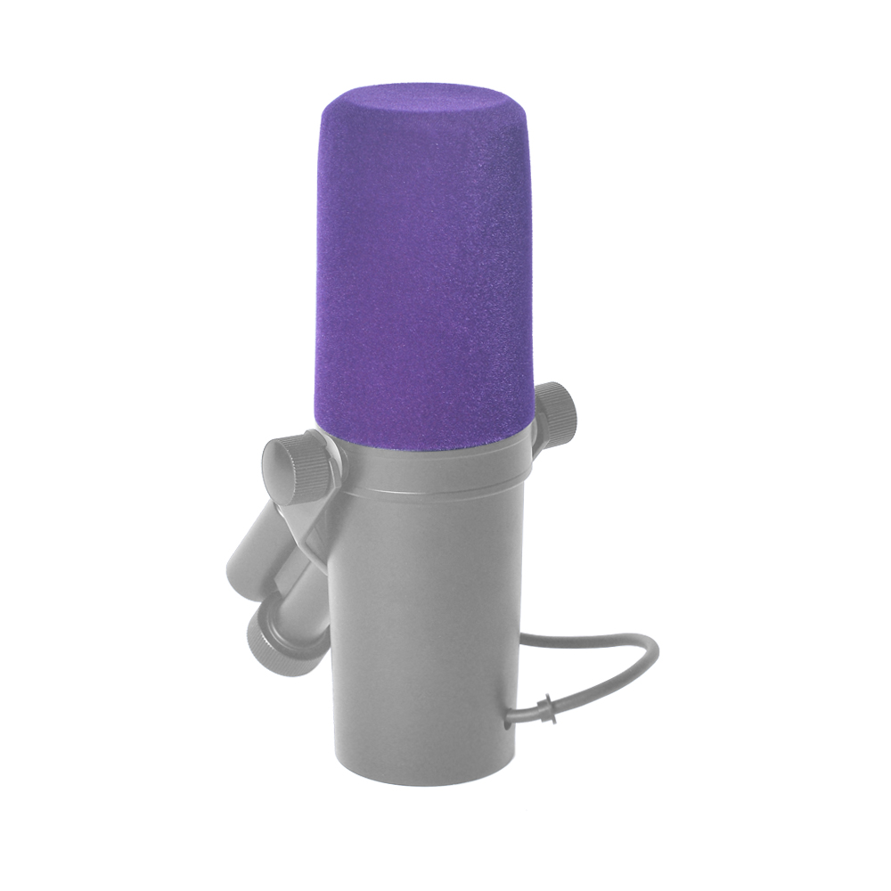 Filtro Antivento Professionale - Shure Mic Sm7B recensione e prezzo